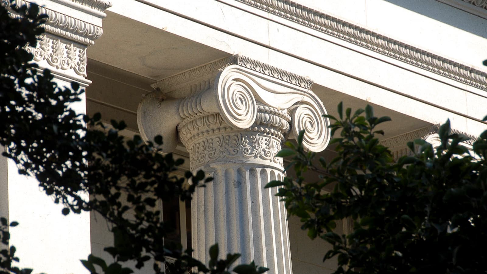 A sunlit Ionic column on the U.S. Treasury Building framed by trees