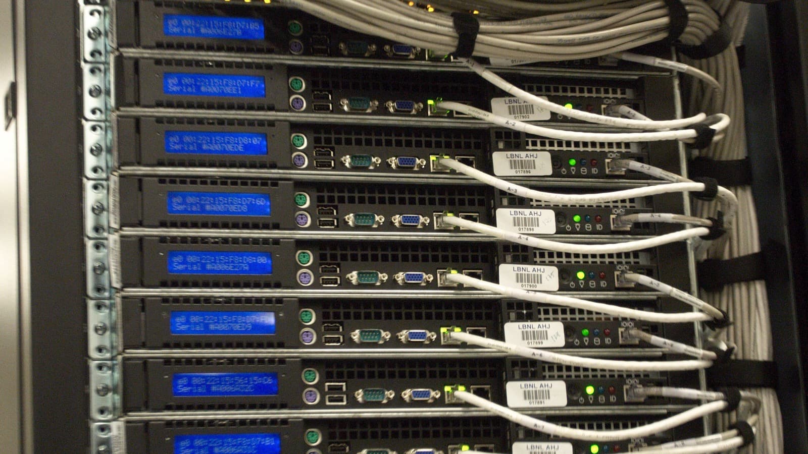Rear view of active servers and bundled network cables in a data-center rack.